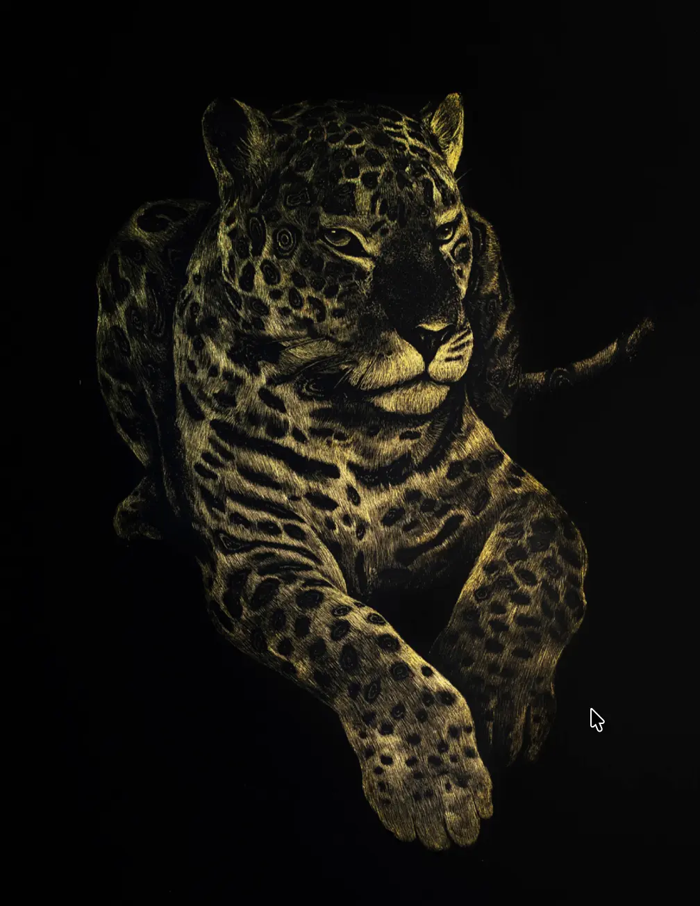 Jaguar — dibujo scratch en tinta litográfica y laminilla dorada
