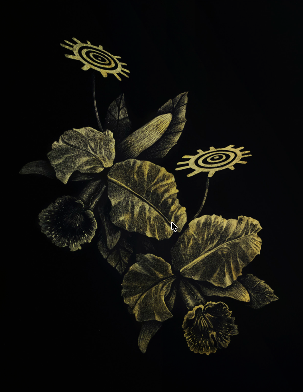 Orquídea cóndor — dibujo scratch en tinta litográfica y laminilla dorada